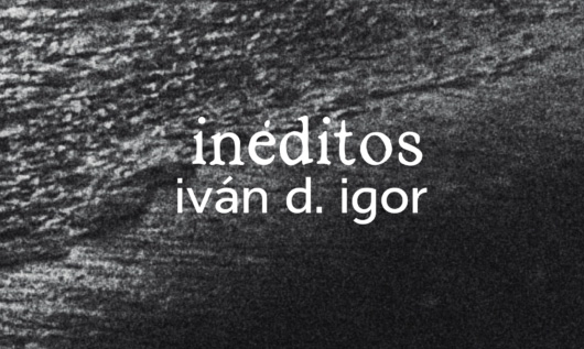 //ivanigor.cl/wp-content/uploads/2024/11/ineditos.jpg